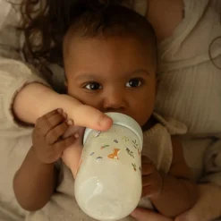 Little Dutch Babyfles 240 ml Forest Friends