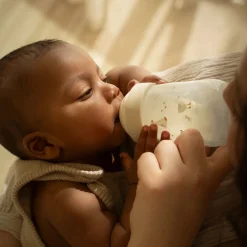 Little Dutch Babyfles 240 ml Little Goose