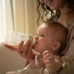 Little Dutch Babyfles 240 ml Little Goose