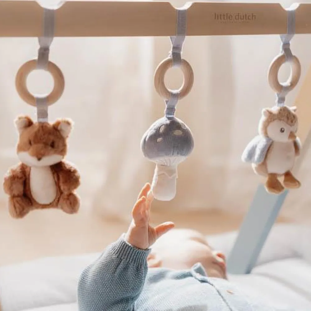 Little Dutch Babygym - Blauw - Forest Friends