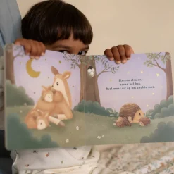 Little Dutch Boekje Welterusten Kleintje - NL