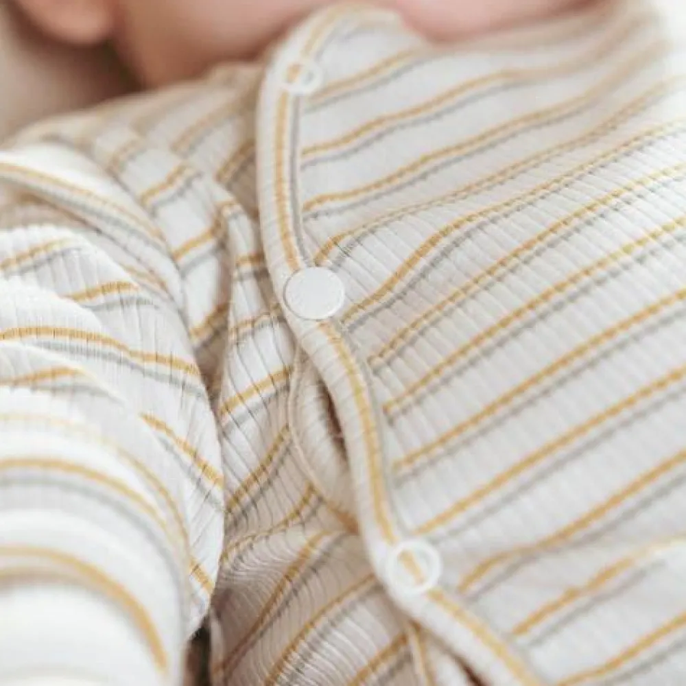 Little Dutch Boxpakje - Meerkleurig - Little Farm - Streep