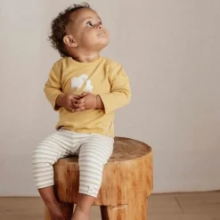 Little Dutch Broek - Meerkleurig - Little Farm - Streep