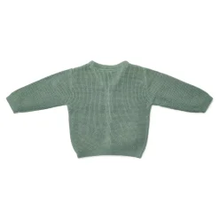 Little Dutch Gebreid vest - Groen - Forest Friends