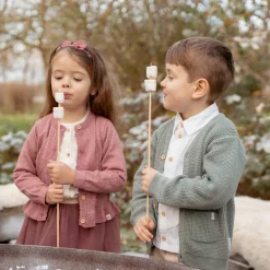 Little Dutch Gebreid vest - Groen - Forest Friends