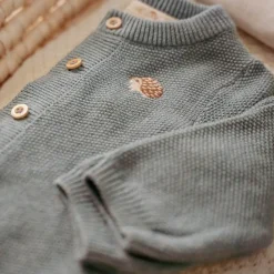 Little Dutch Gebreid vestje - Blauw - Forest Friends