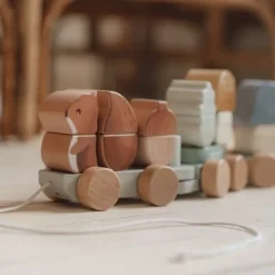 Little Dutch Houten Blokkentrein - Blauw - Forest Friends