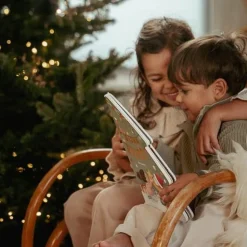 Little Dutch Kerstboek: Bijna Kerst! - NL