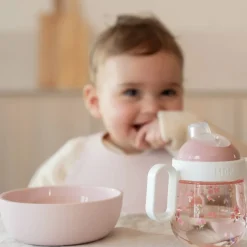 Little Dutch Kinderschaaltje Fairy Garden