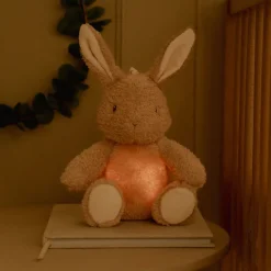 Little Dutch Knuffelkonijn Licht & Geluid - Beige - Baby Bunny