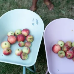 Little Dutch Kruiwagen - Roze - Fairy Garden