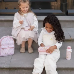 Little Dutch Lunchbox Fairy Garden