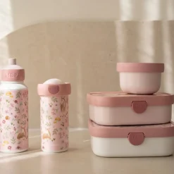 Little Dutch Lunchbox Fairy Garden