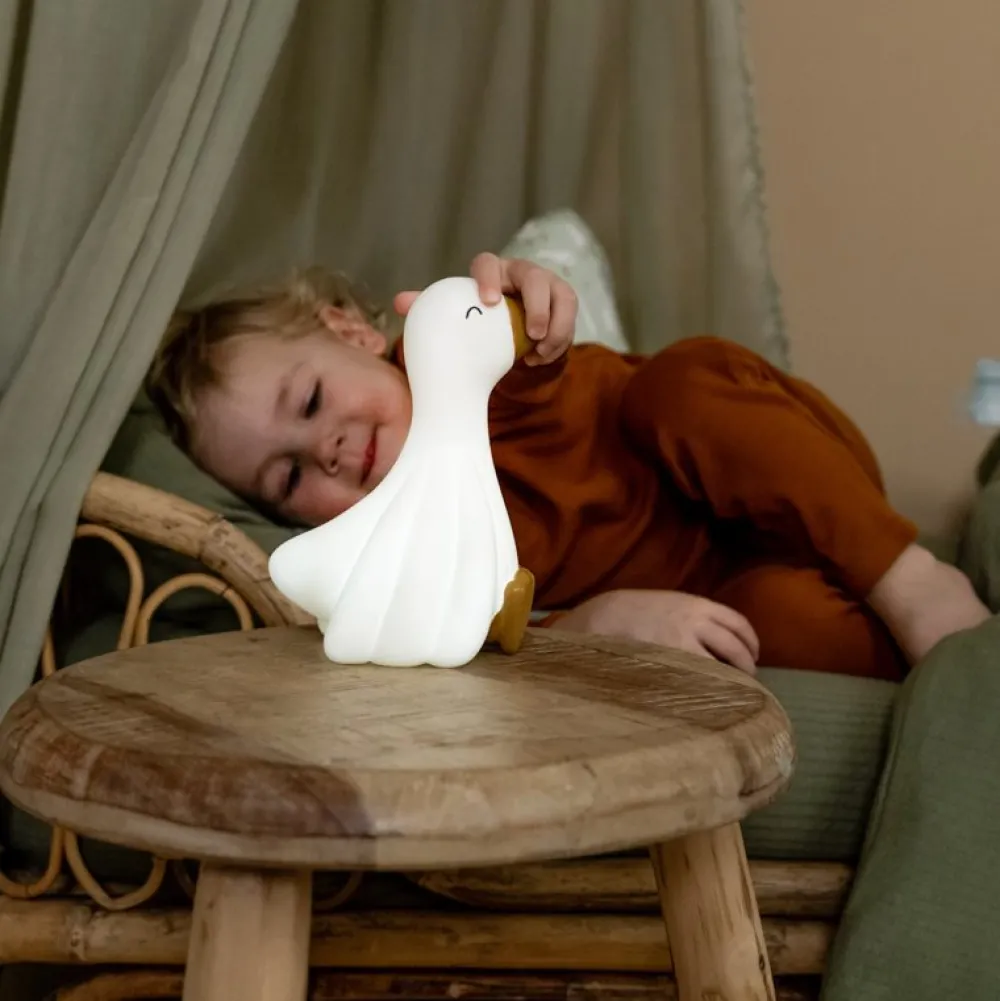 Little Dutch Nachtlampje Little Goose