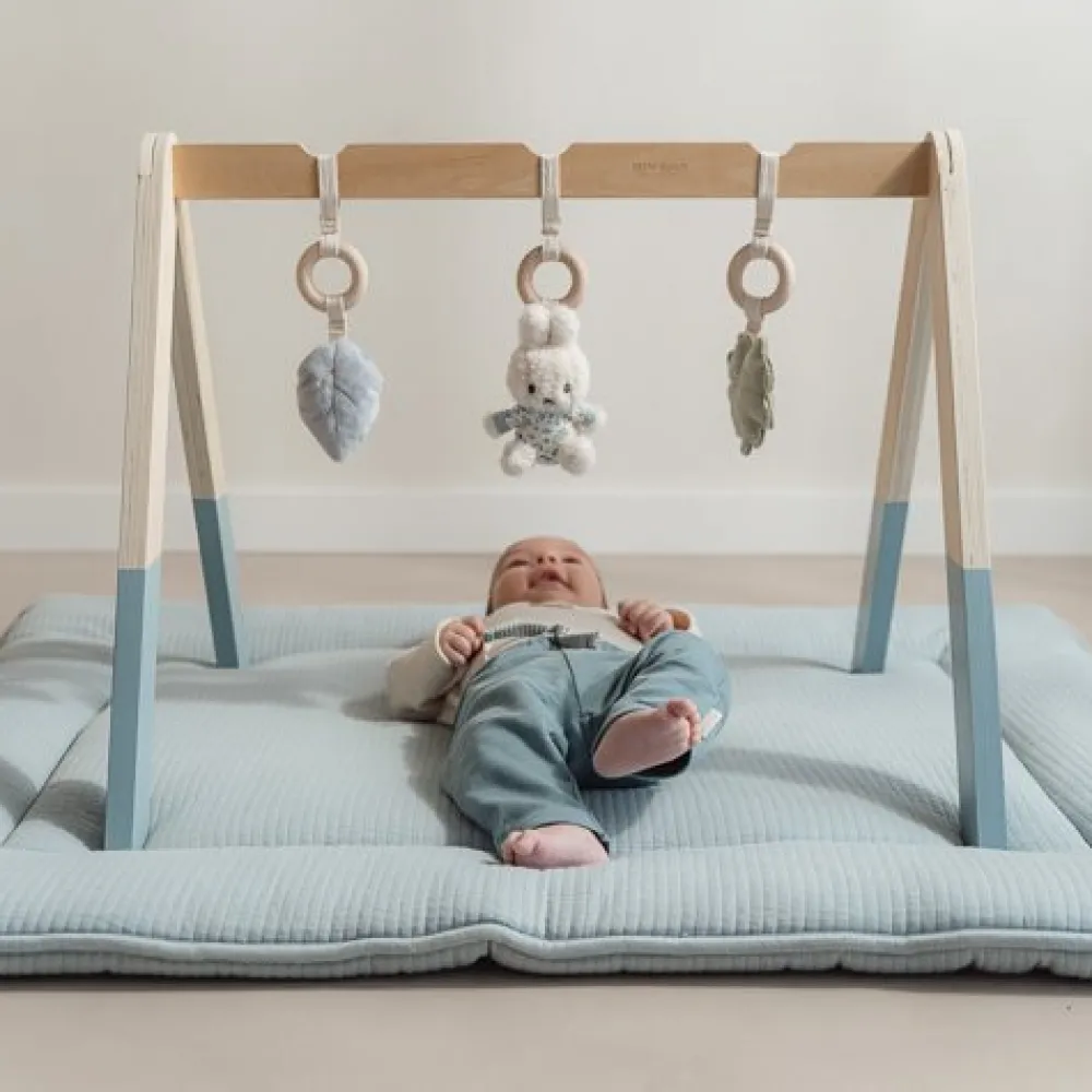 Little Dutch nijntje babygym - Blauw - Lucky Leaves