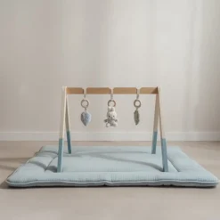 Little Dutch nijntje babygym - Blauw - Lucky Leaves