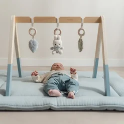 Little Dutch nijntje babygym - Blauw - Lucky Leaves