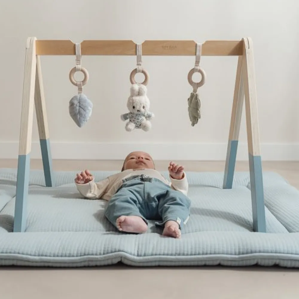 Little Dutch nijntje babygym - Blauw - Lucky Leaves