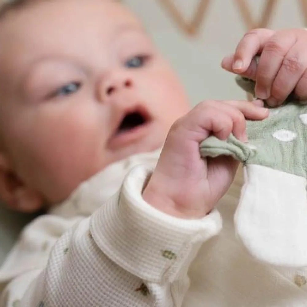 Little Dutch Speendoekje - Groen - Forest Friends