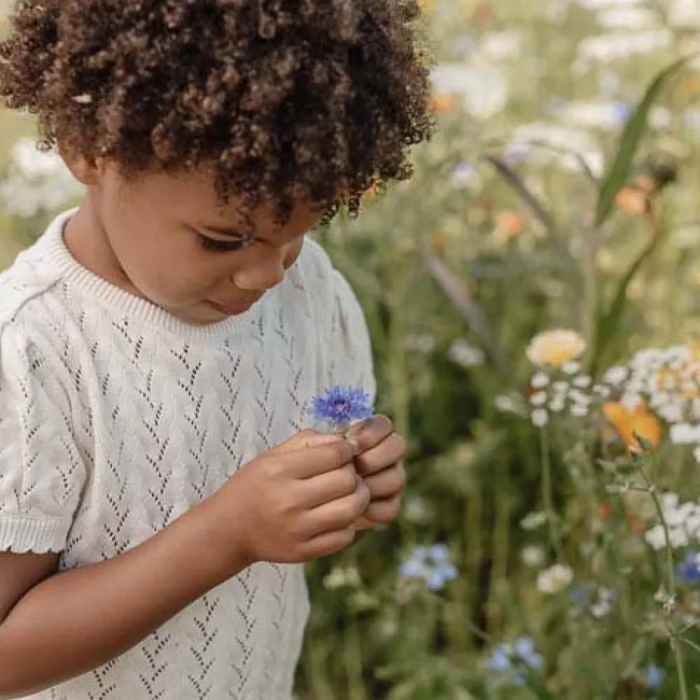 Little Dutch Trui - Wit - Fairy Garden