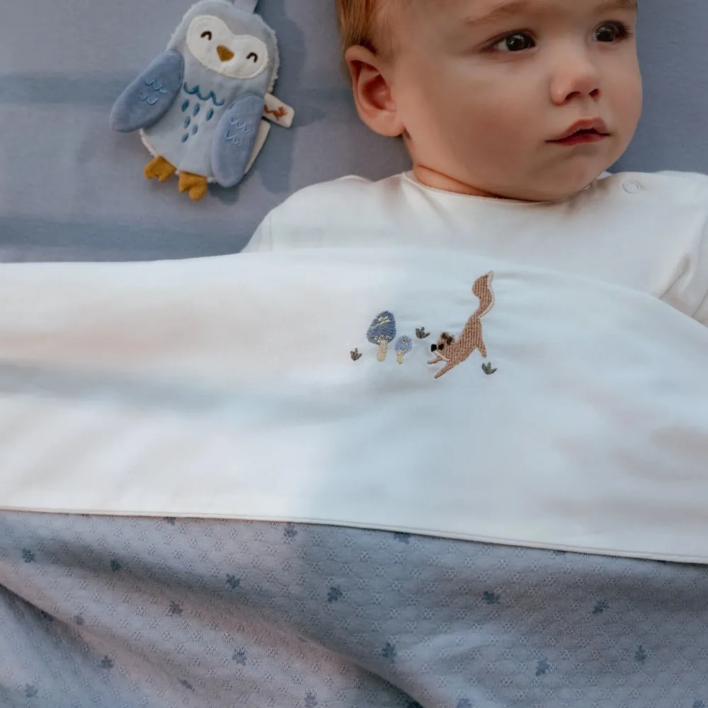 Little Dutch Wiegdeken - Blauw - Essentials